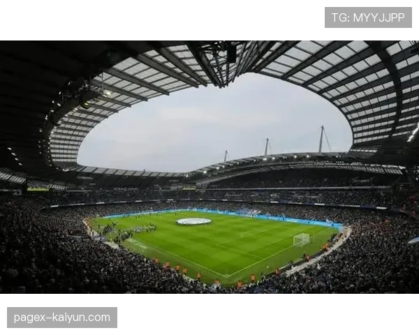 报告:英超俱乐部在可持续球场运营方面的投入同比增长30%